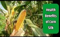 Ever heard of Corn Silk; Read to find out about its health benefits and much more