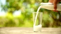 Which Milk is Healthiest? Dairy, Oat, Almond, Soy, Rice, Coconut?