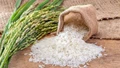 Indian Basmati Rice Exporters Renegotiating Terms & Conditions with the US, Canada and Australia Importers