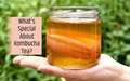 Kombucha Tea: Top 8 Health Benefits of This Super Drink and Much More