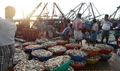 PMMSY: Pradhan Mantri Matsya Sampada Yojana to Increase Investment in Fisheries Sector along the Value Chain