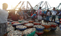PMMSY: Pradhan Mantri Matsya Sampada Yojana to Increase Investment in Fisheries Sector along the Value Chain