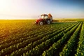 How Pesticides are Playing Really Important Role in Agriculture?
