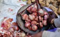 Steps taken to Moderate Onion Prices and Availability