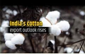 Good News! Export Outlook Turns Brighter for Indian Cotton