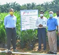 Godrej Agrovet Launches High Yield Oil Palm Saplings for Farmers