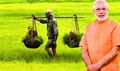 PM Kisan Status Update: What to do if you haven't received PM Kisan Money; Know Reason for Payment Failure