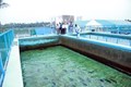 CIBA inks MoU with Kerala Fisheries Department to set up a Multi-Species Fish Hatchery
