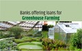 Greenhouse Farming Loans: Govt. Subsidies And Method to Apply