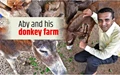 Here’s all you need to know about the First Donkey Farm in India