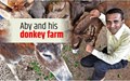 Here’s all you need to know about the First Donkey Farm in India