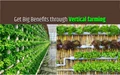 Vertical Farming: Farmers Must Grow these Crops to Get Huge Profits