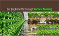 Vertical Farming: Farmers Must Grow these Crops to Get Huge Profits