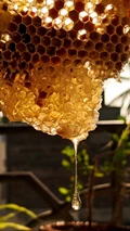 Beeswax: Know the Incredible Medicinal  Benefits and Usage