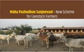 Good News for Livestock Farmers: Soon Treatment of Animals will be done at Home under 'Maha Pashudhan Sanjeevani' Yojana