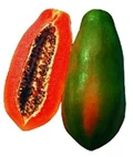 Do you know Which is the Best Variety of Papaya?