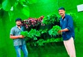 Kerraikadai.com, A Portal for Leafy Vegetables