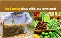 10 High-Profit Farming Ideas with Low Investment