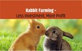A Complete Guide to Profitable Rabbit Farming for Beginners