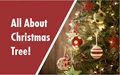 Christmas 2020: 7 Incredible Facts about Christmas Tree You Must Know
