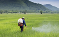 Role of Agrochemicals: Achieving Vision of $5 Trillion Economy by 2025