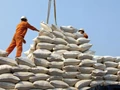 India Exports Rice to China after 30 Years; Exports prospects remain bright