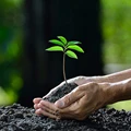 ICAR Bags Global Award from FAO for Creating Awareness on Soil Health