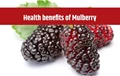 Amazing Health Benefits of Mulberry and its Nutritional facts