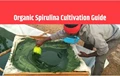All about Organic Spirulina Cultivation: Basic Requirements, Water Quality, Nutrient Requirements, Economics & much more..