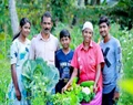 A  Daily wage Labourer to get Best Farmer Tilak Award from Kerala Government; Binsi Shares her Success Story