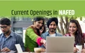 Latest Jobs: NAFED Invites Application for Chief Consultant, Technical Consultant posts; Age, Eligibility, Salary Details Here