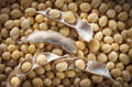 Global Oilseed production projected lesser than last month estimate, Global Oilseed ending Inventory pegged lower