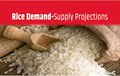 US Rice Production estimate for 2020-21 lower than previous month, World Rice crop projected higher