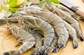 Good News for Indian Seafood Exporters: Japan loosens import norms for Indian black tiger shrimps