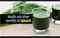Know Why Spinach is called the next generation Superfood