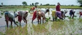 Yogi Government set to launch Block-level outreach program for farmers