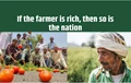 Kisan Diwas 2020 Quotes: Let's Wish our Food Makers for Their Immense Contribution towards Nation Building