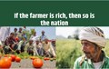 Kisan Diwas 2020 Quotes: Let's Wish our Food Makers for Their Immense Contribution towards Nation Building