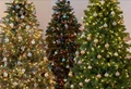 CHRISTMAS 2018: 10 Amazing Facts about Christmas Trees