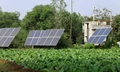 Solar Pump Yojana: Government Grants 11.85 Crore to Set Up Solar Pump in This State; 5000 Farmers will Get Benefit
