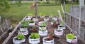 Home Gardening: Check Top 4 Home Gardens Styles