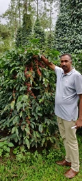 Roy Anthony, a Wayanad Farmer shows that Success brings Success