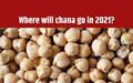 Chickpeas/Chana markets down currently – where can prices go next year