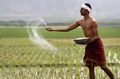 Agrochemicals: Unlocking the potential for crop production and protection