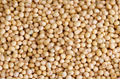 Soybean establishes new high on Year End – further price appreciation on cards