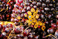 Palm Oil Ends 2020 with Handsome Gains – Upward Price Trend Still Intact