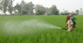 Government Plans Rs 1 trillion Subsidy on Fertilizers in the Next Fiscal Year