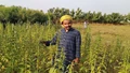 Yogi Adityanath to felicitate 100 progressive farmers during three-month long Kisan Kalyan Mission