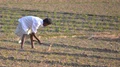 Kisan Kalyan Mission will help Farmers learn ways to double their Income