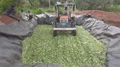 How Is Silage Profitable For Dairy Farming